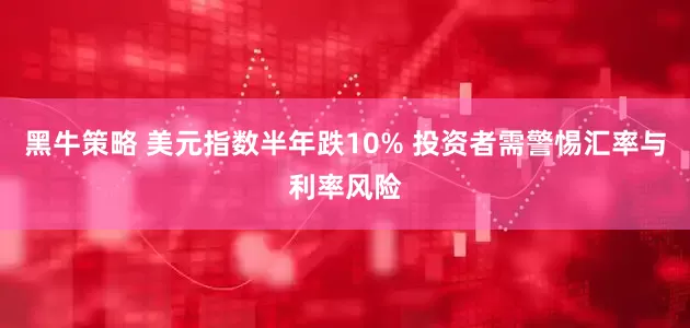 黑牛策略 美元指数半年跌10% 投资者需警惕汇率与利率风险