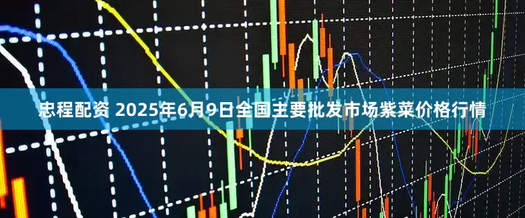 忠程配资 2025年6月9日全国主要批发市场紫菜价格行情