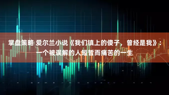 掌盘策略 爱尔兰小说《我们镇上的傻子，曾经是我》：一个被误解的人短暂而痛苦的一生